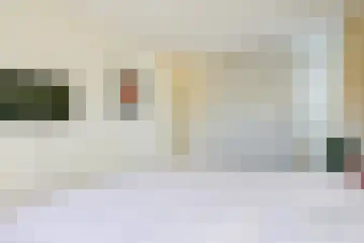 Schorrekruid 38 Middenmeer thumbnail 24