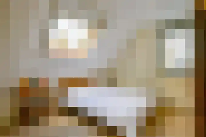 Schorrekruid 38 Middenmeer thumbnail 25