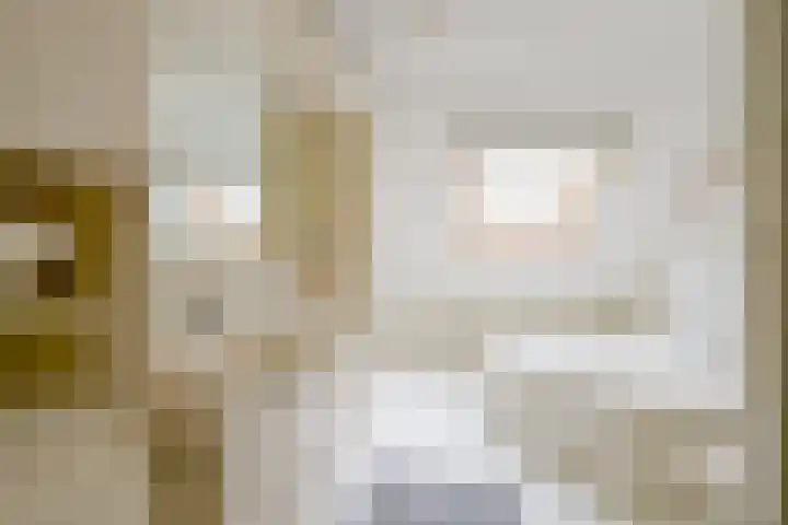 Schorrekruid 38 Middenmeer thumbnail 29
