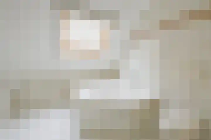 Schorrekruid 38 Middenmeer thumbnail 30