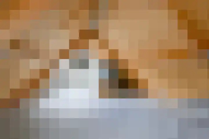 Schorrekruid 38 Middenmeer thumbnail 33