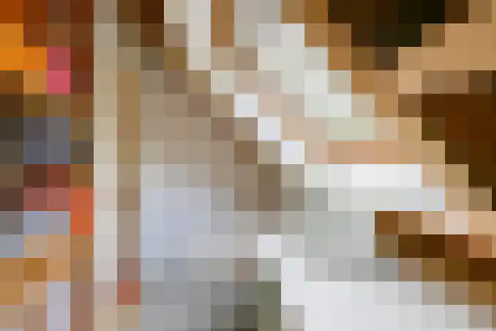 Schorrekruid 38 Middenmeer thumbnail 34
