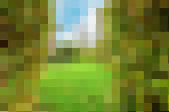 Schorrekruid 38 Middenmeer thumbnail 36