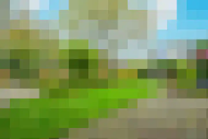 Schorrekruid 38 Middenmeer thumbnail 37