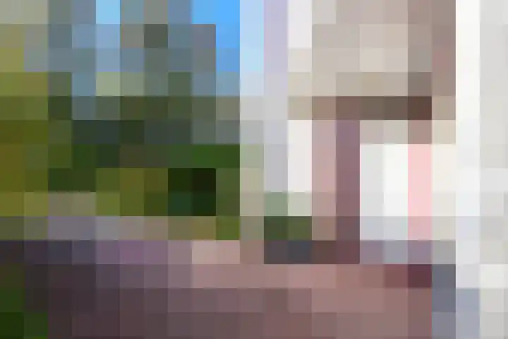 Schorrekruid 38 Middenmeer thumbnail 39