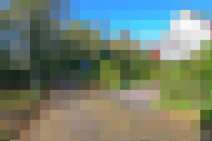 Schorrekruid 38 Middenmeer thumbnail 41