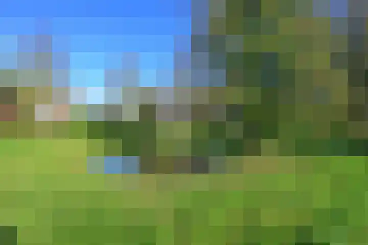 Schorrekruid 38 Middenmeer thumbnail 43