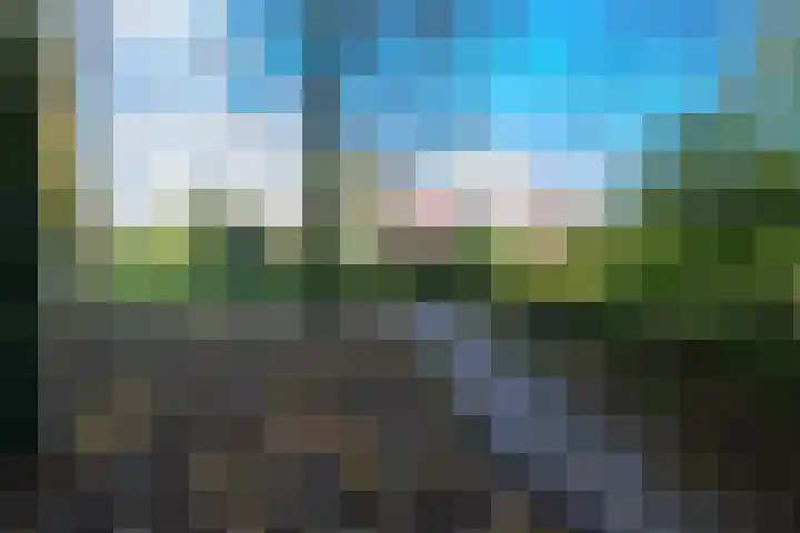 Schorrekruid 38 Middenmeer thumbnail 48