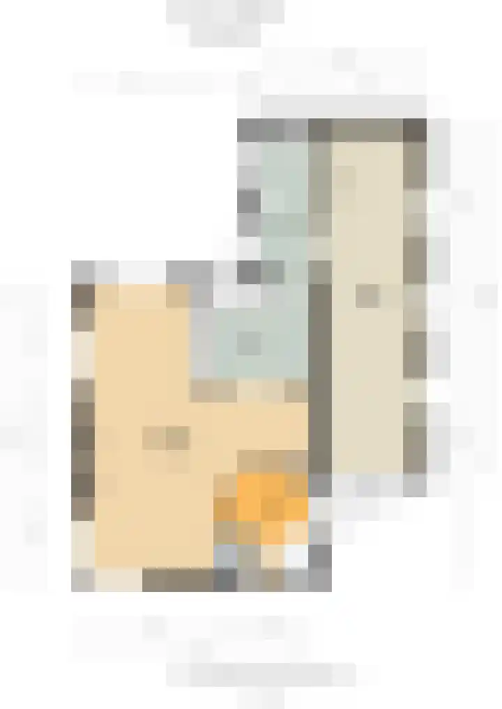 Schorrekruid 38 Middenmeer thumbnail 49