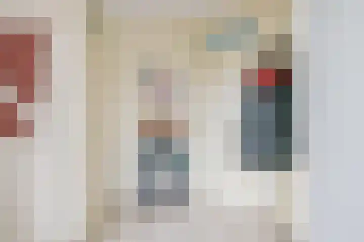 Schorrekruid 38 Middenmeer thumbnail 7
