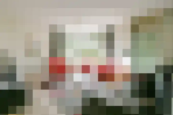 Schorrekruid 38 Middenmeer thumbnail 8