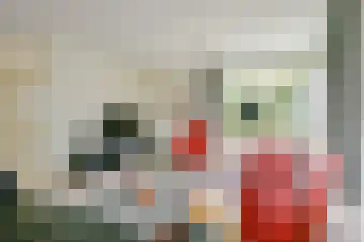 Schorrekruid 38 Middenmeer thumbnail 9