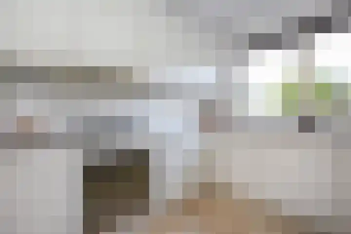 Schorrekruidweg 29 Voorhout thumbnail 21