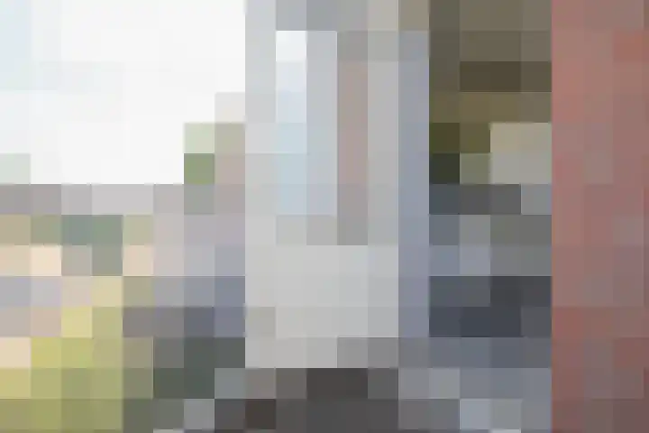 Schorrekruidweg 29 Voorhout thumbnail 32