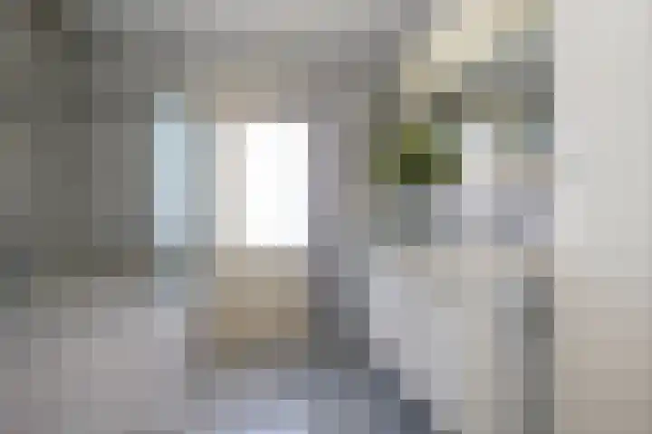 Schorrekruidweg 29 Voorhout thumbnail 4