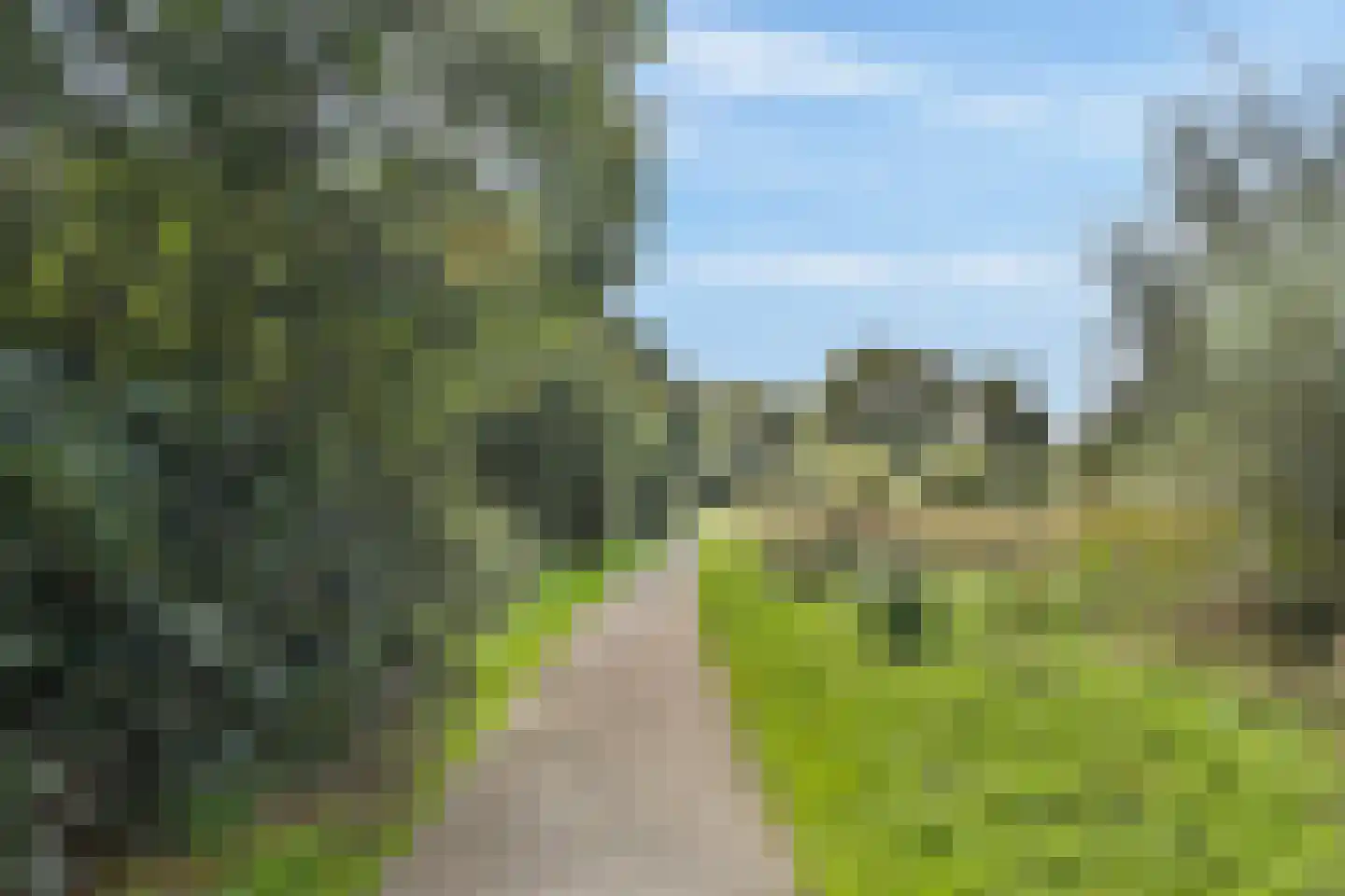 Schorrekruidweg 43 Voorhout thumbnail 29