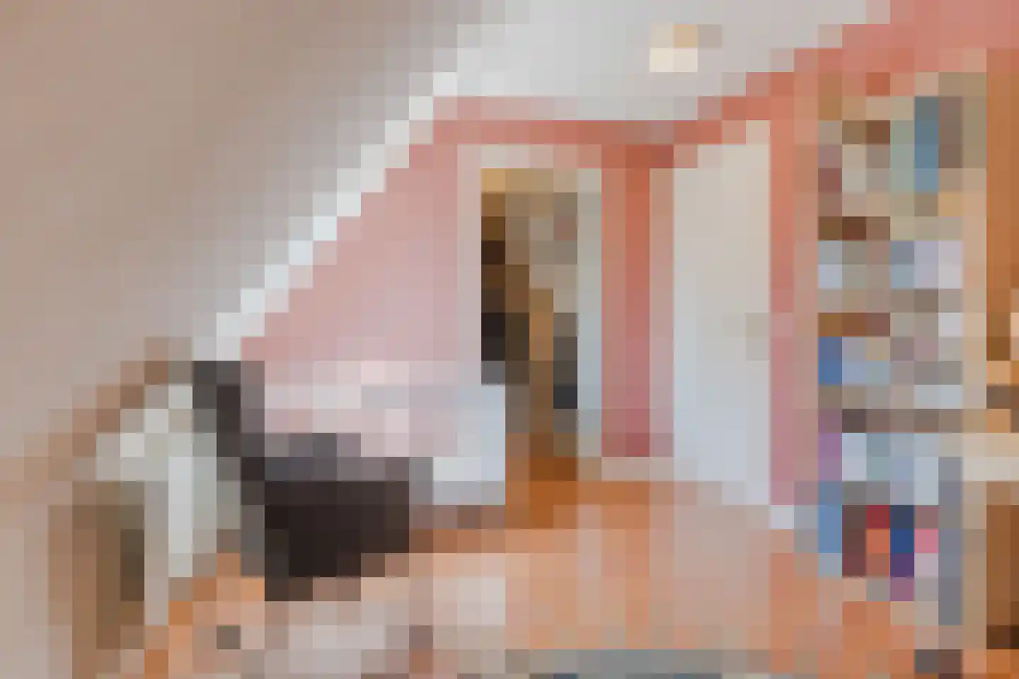Schorrenkruid 16 Bergen op Zoom thumbnail 36