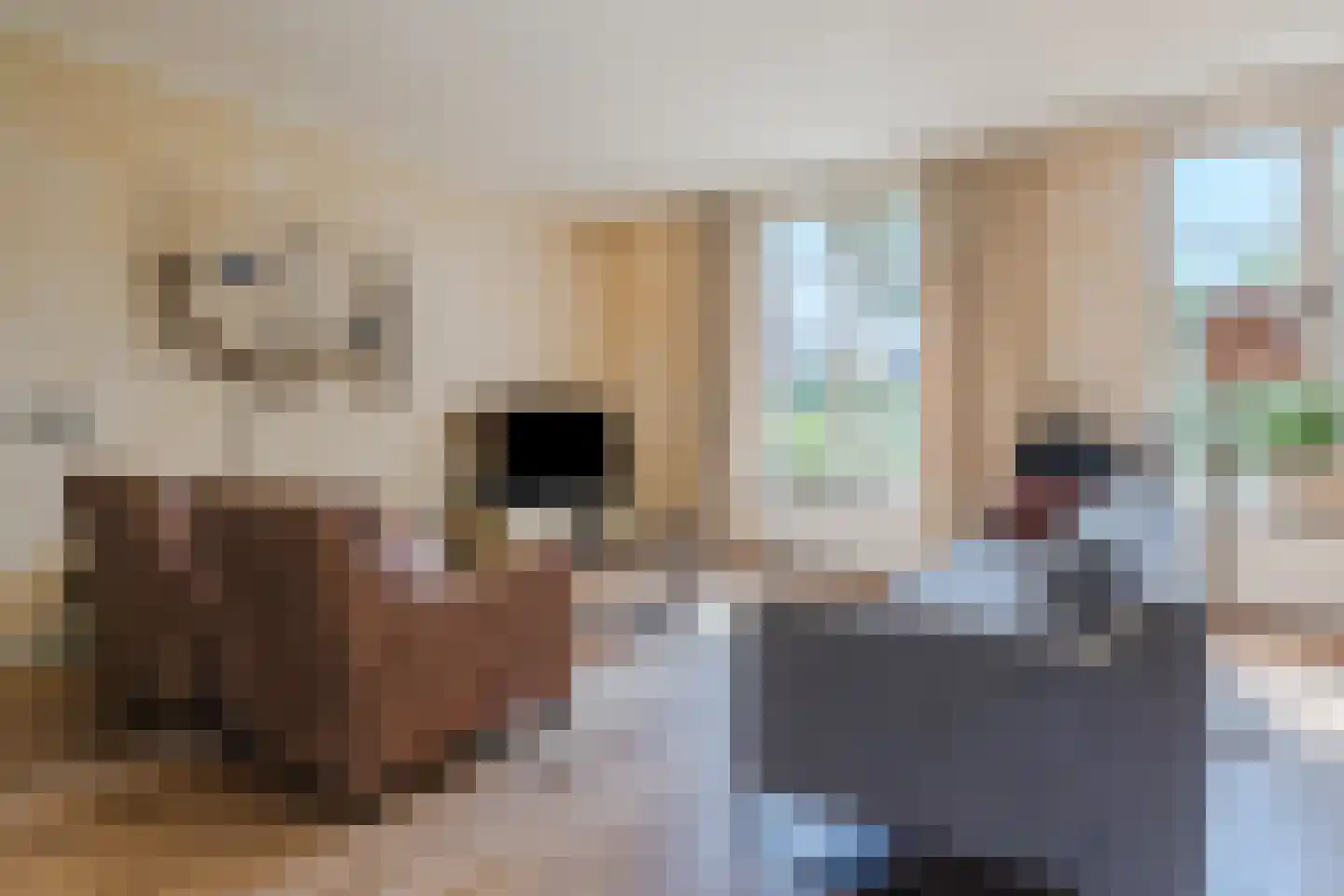 Schorrenkruid 16 Bergen op Zoom thumbnail 6