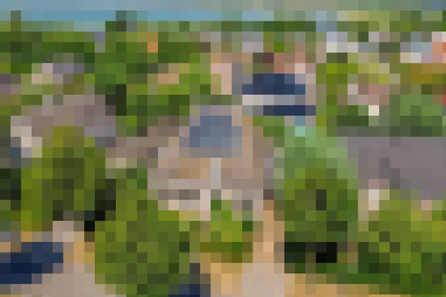 Schorrenkruid 16 Bergen op Zoom thumbnail 64