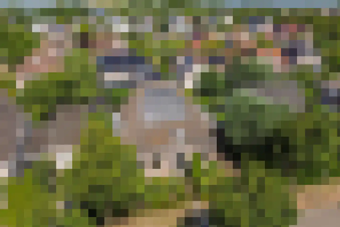 Schorrenkruid 16 Bergen op Zoom thumbnail 66