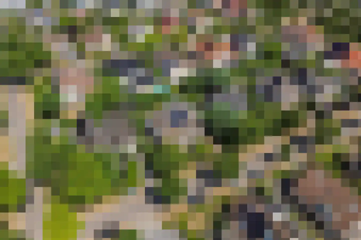 Schorrenkruid 16 Bergen op Zoom thumbnail 67