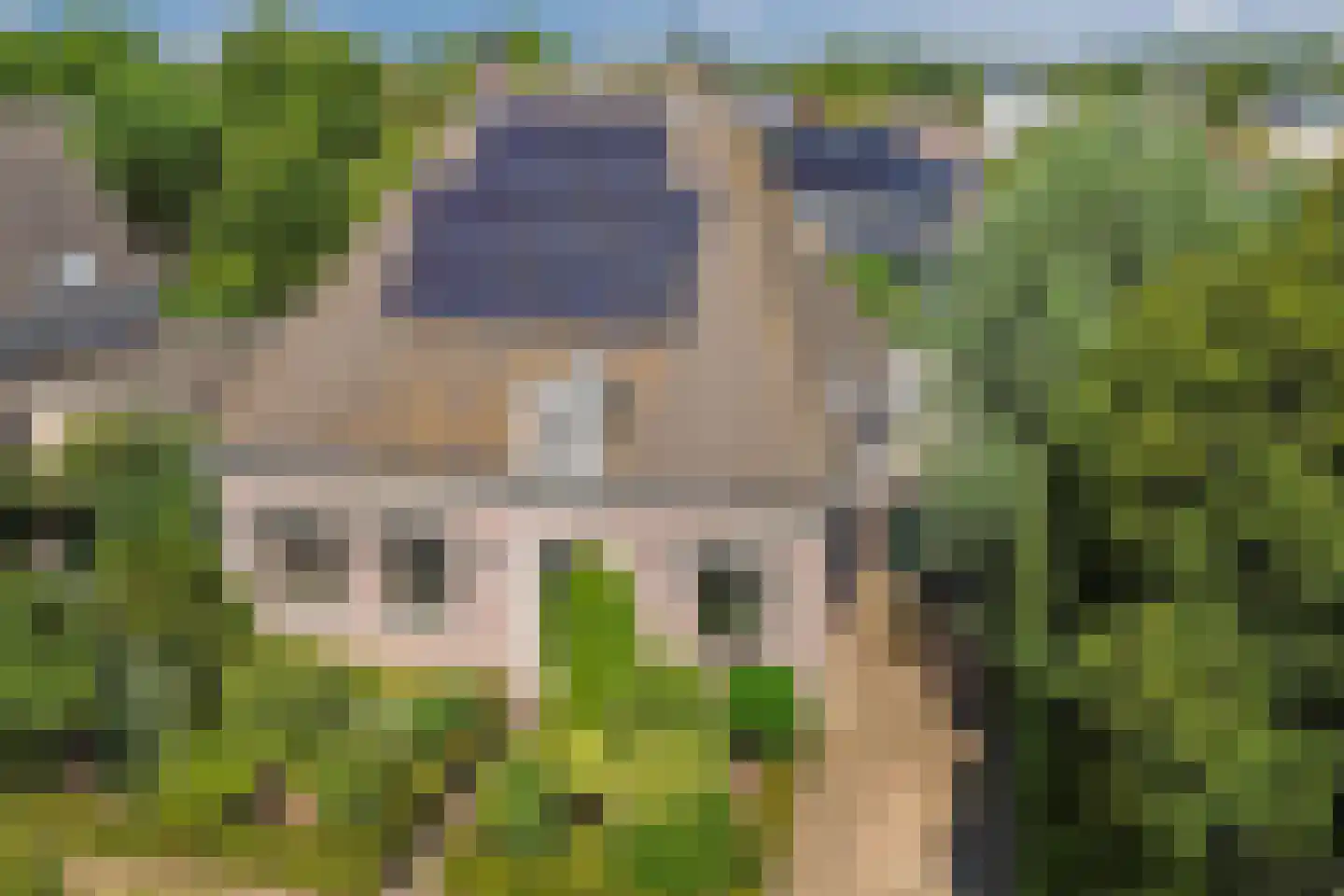 Schorrenkruid 16 Bergen op Zoom thumbnail 68