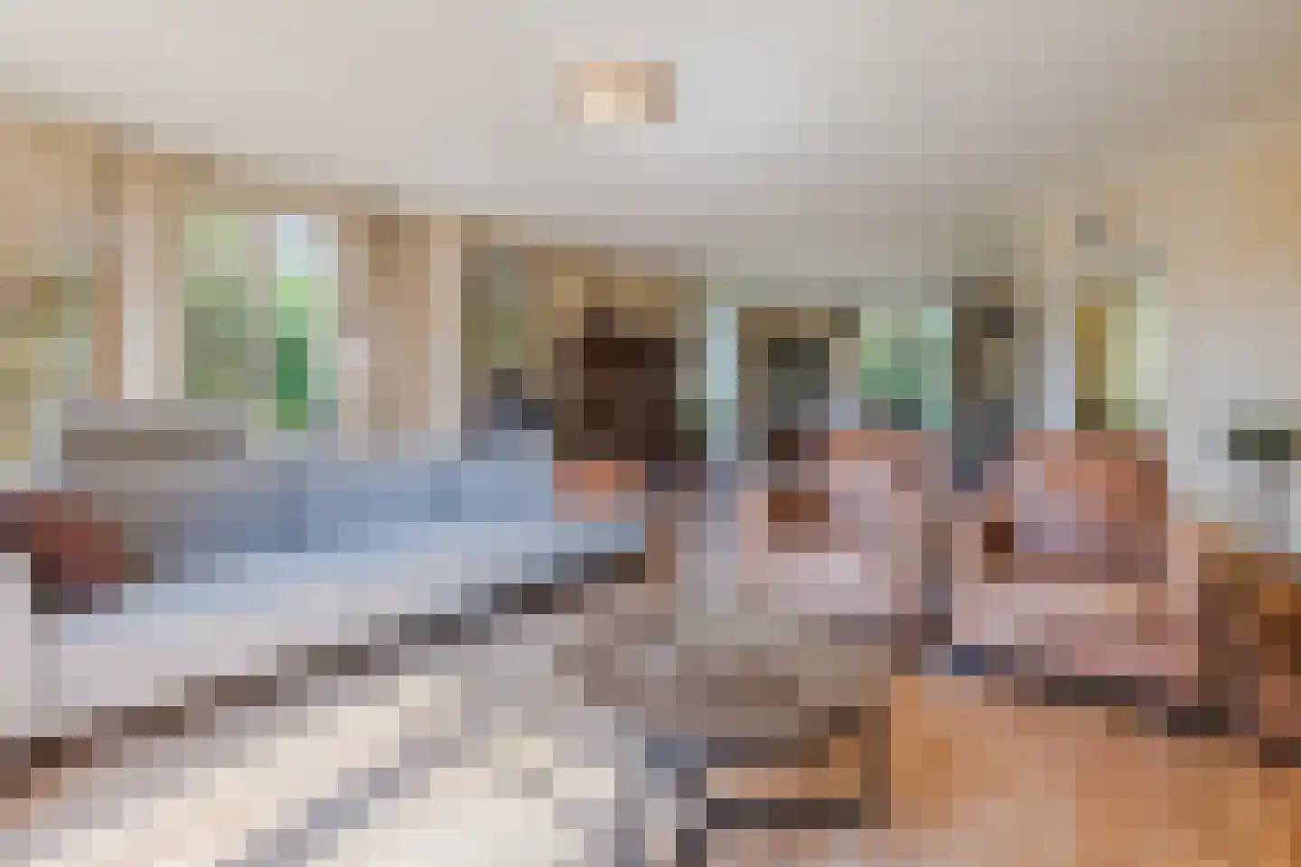 Schorrenkruid 16 Bergen op Zoom thumbnail 7