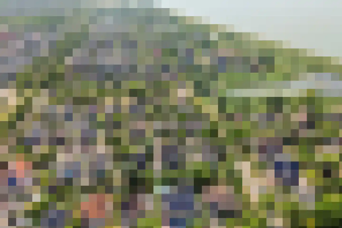 Schorrenkruid 16 Bergen op Zoom thumbnail 80
