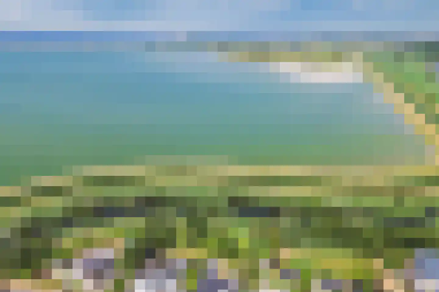 Schorrenkruid 16 Bergen op Zoom thumbnail 81