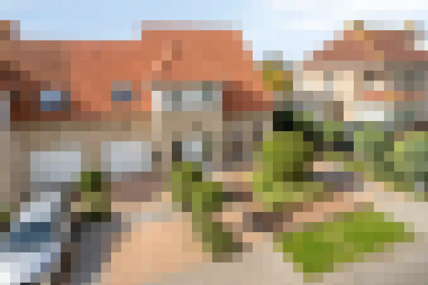 Schorrenkruid 6 Bergen op Zoom