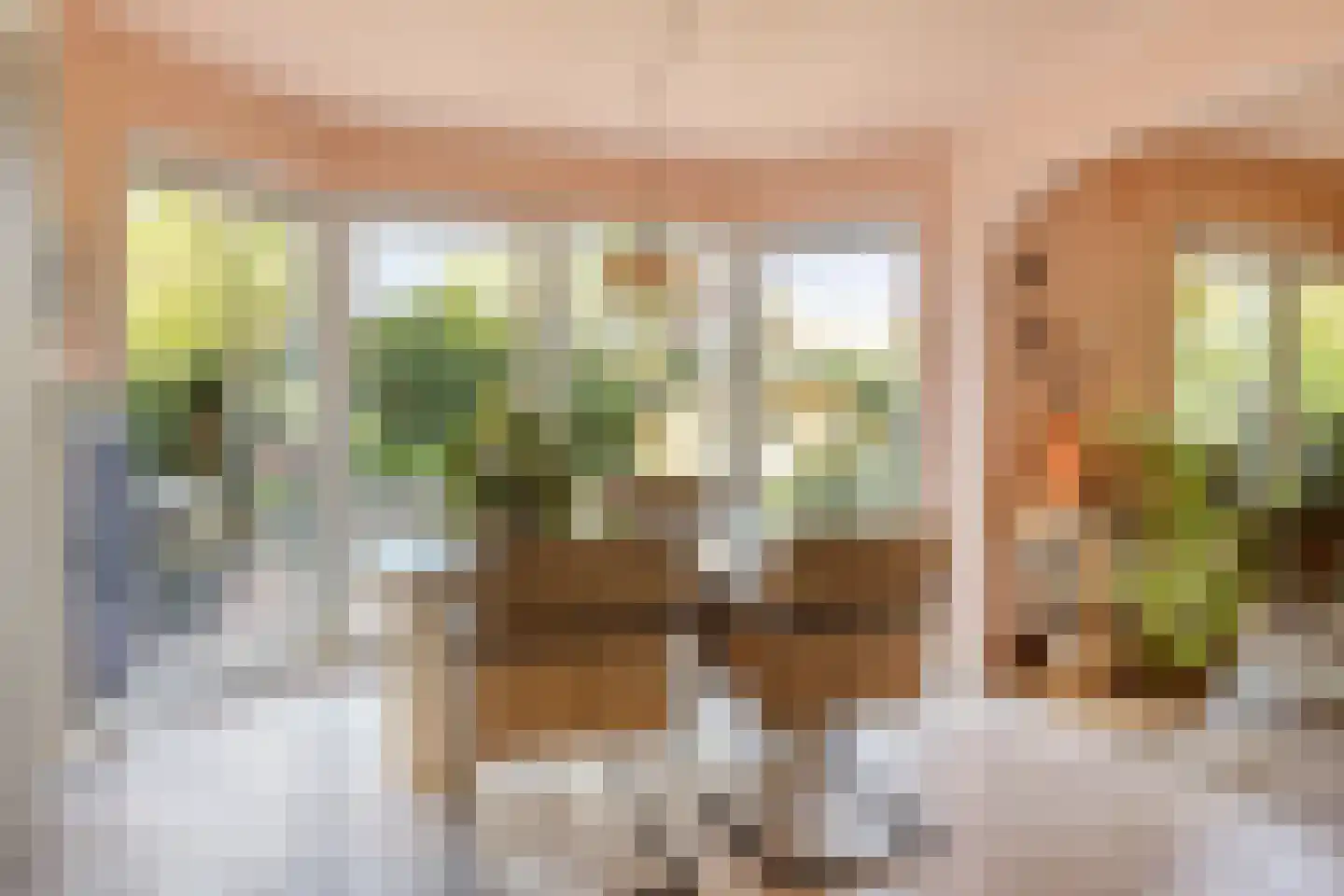 Schorrenkruid 6 Bergen op Zoom thumbnail 14