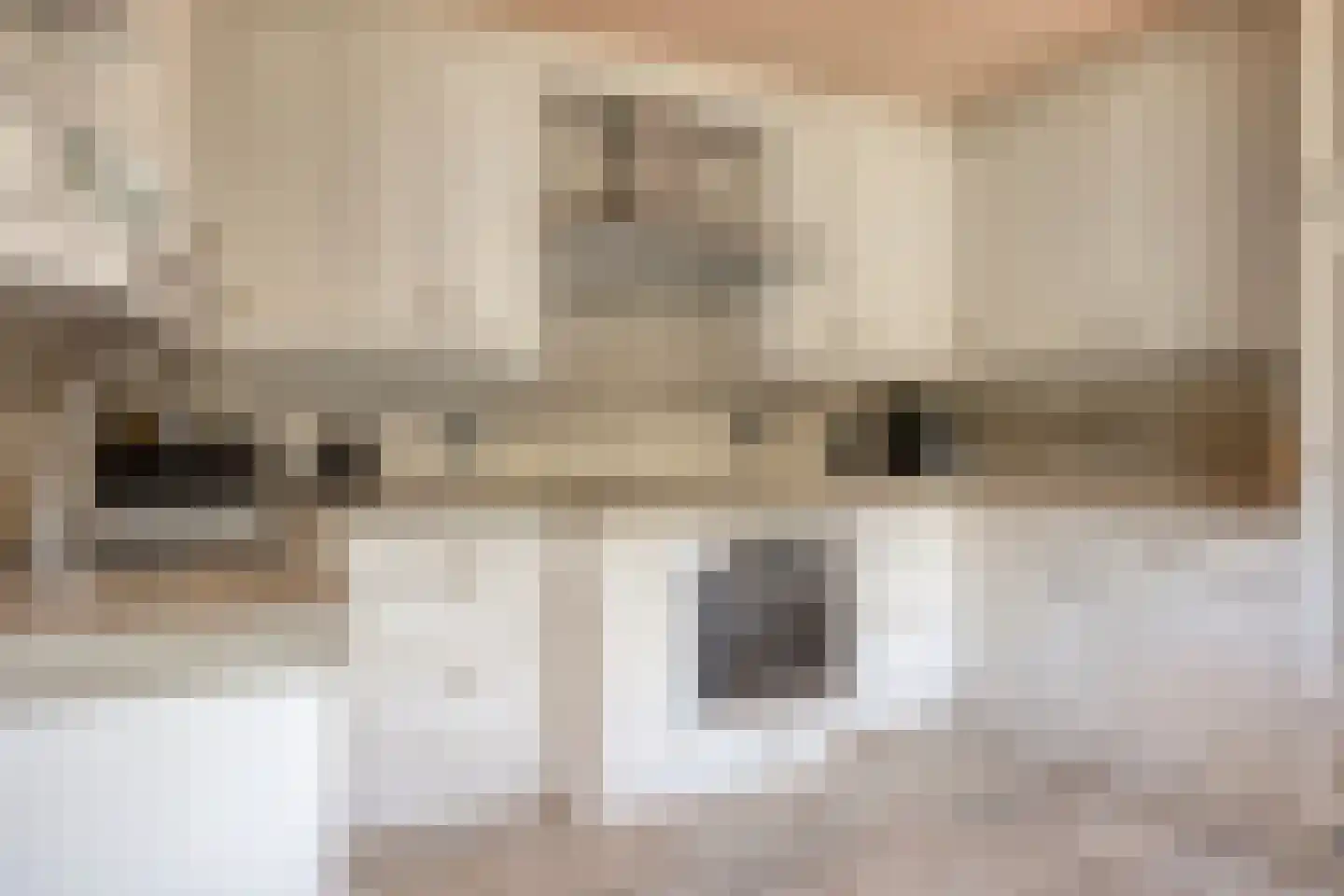Schorrenkruid 6 Bergen op Zoom thumbnail 17