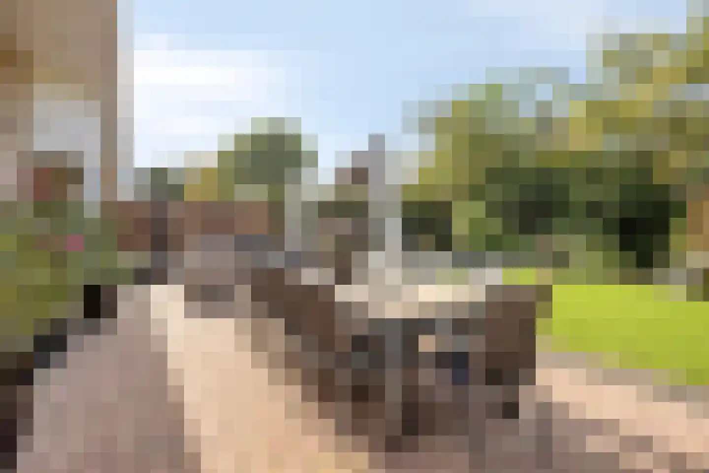 Schorrenkruid 6 Bergen op Zoom thumbnail 39