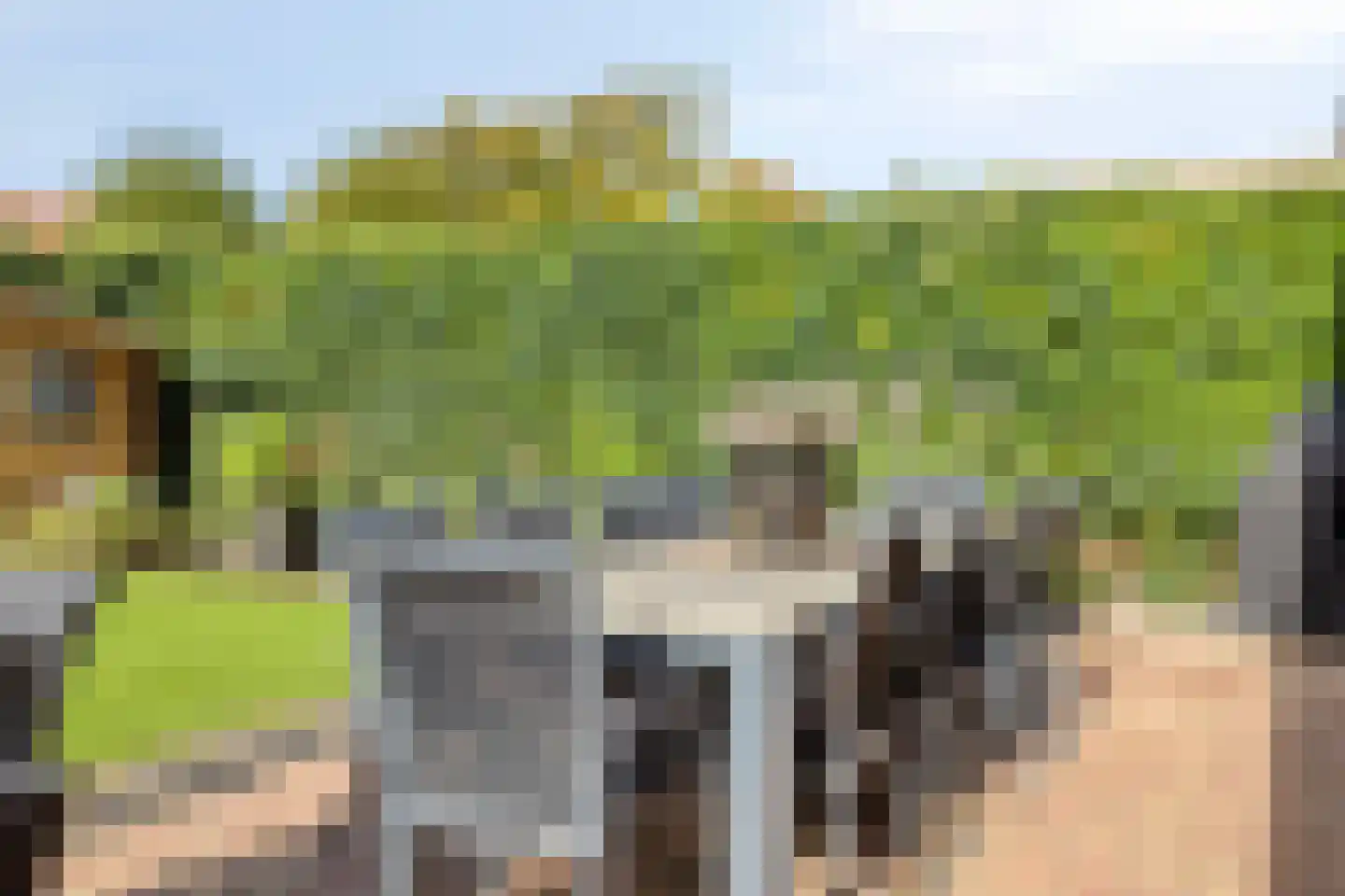 Schorrenkruid 6 Bergen op Zoom thumbnail 40