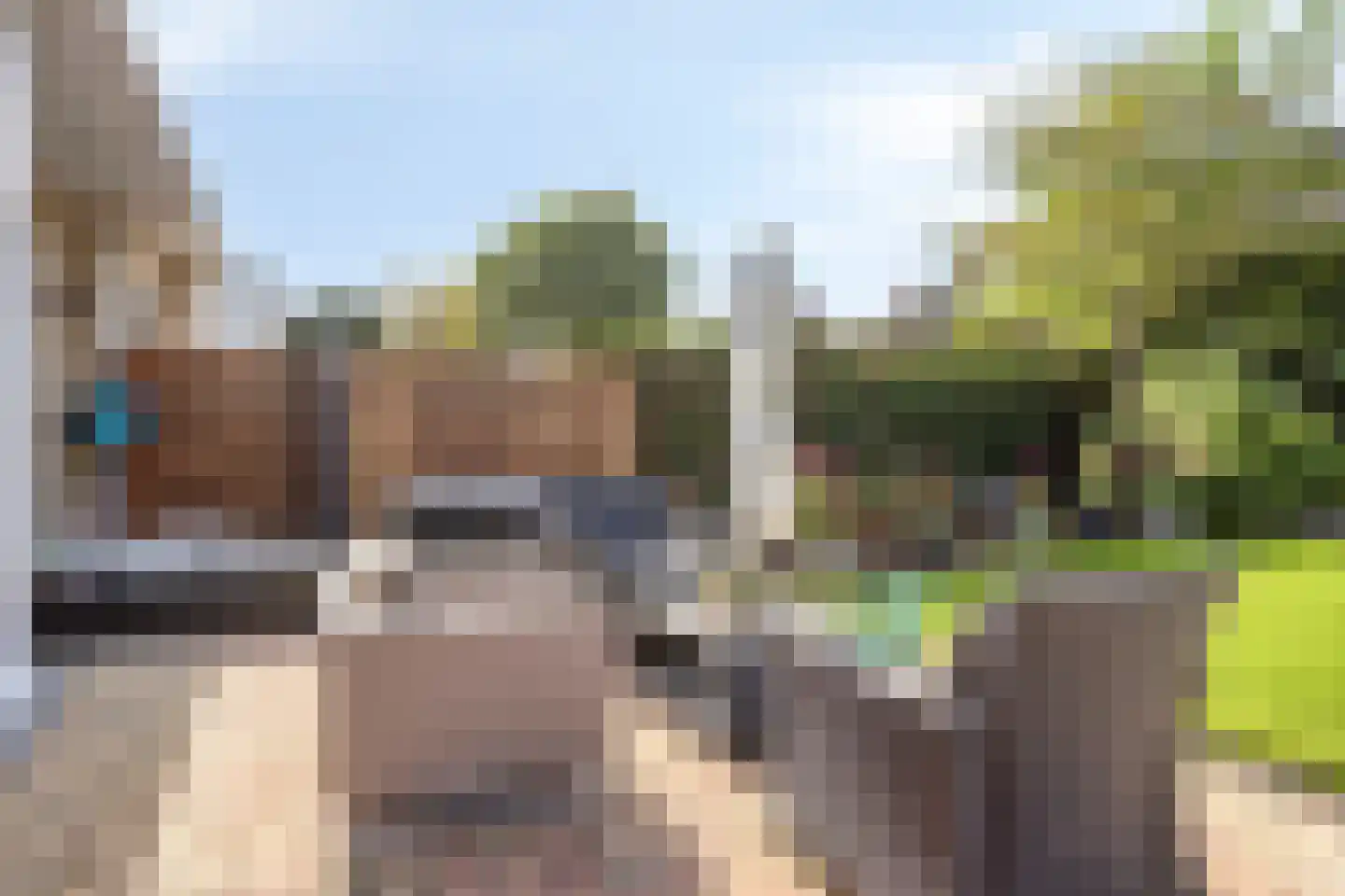 Schorrenkruid 6 Bergen op Zoom thumbnail 41