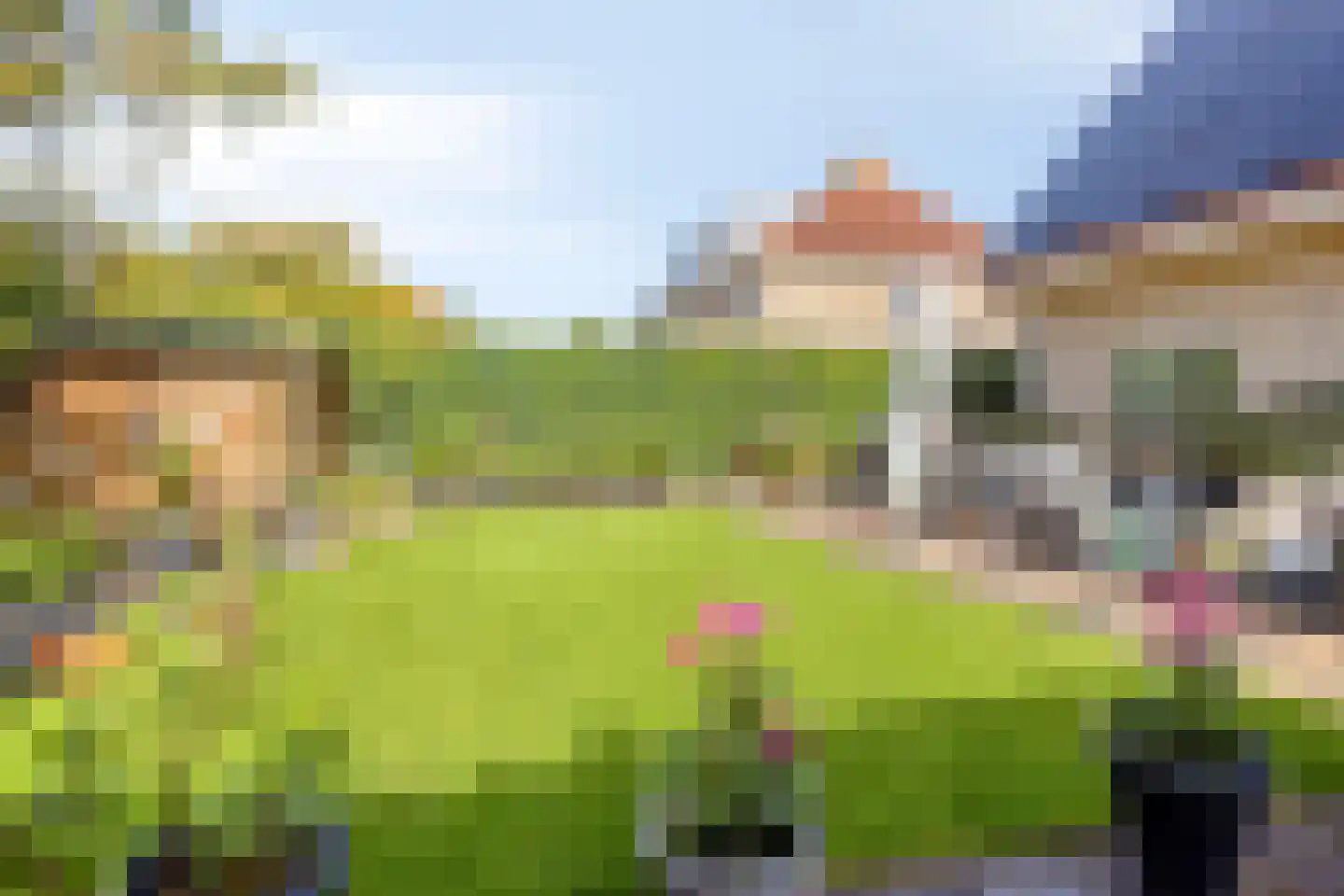 Schorrenkruid 6 Bergen op Zoom thumbnail 43
