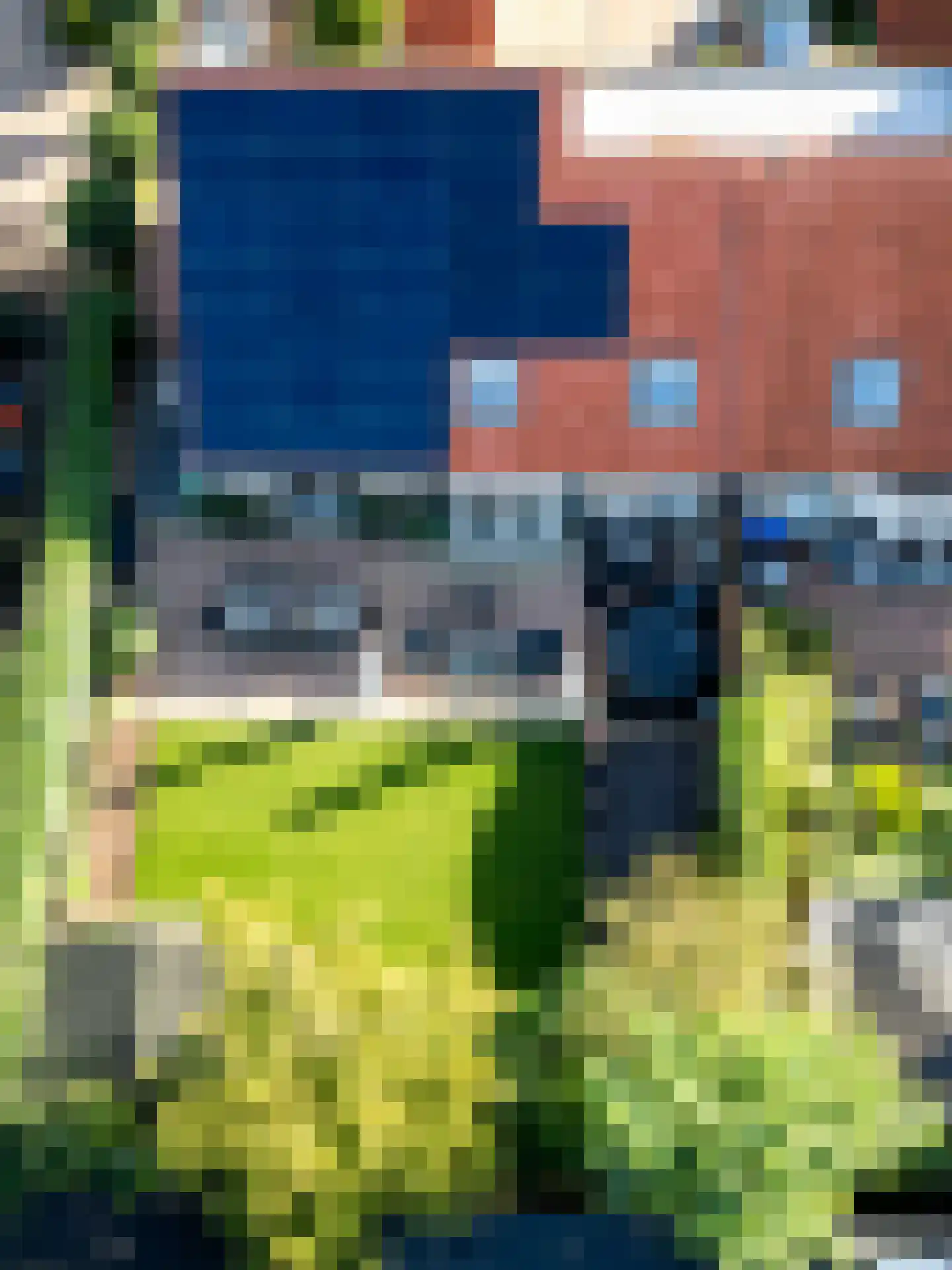 Schorrenkruid 6 Bergen op Zoom thumbnail 48