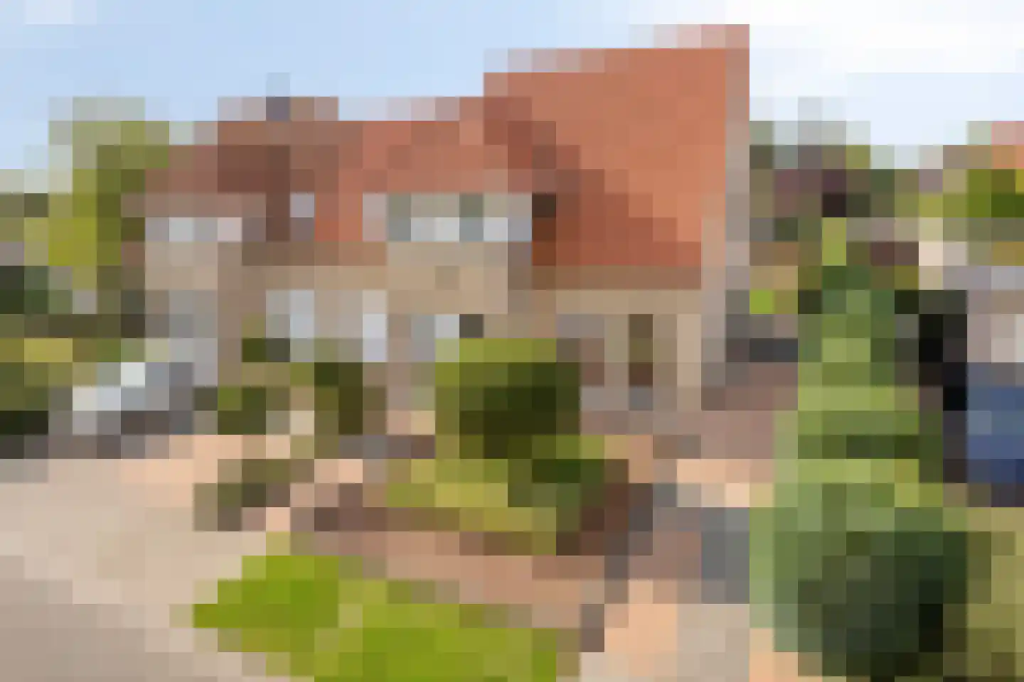 Schorrenkruid 6 Bergen op Zoom thumbnail 49
