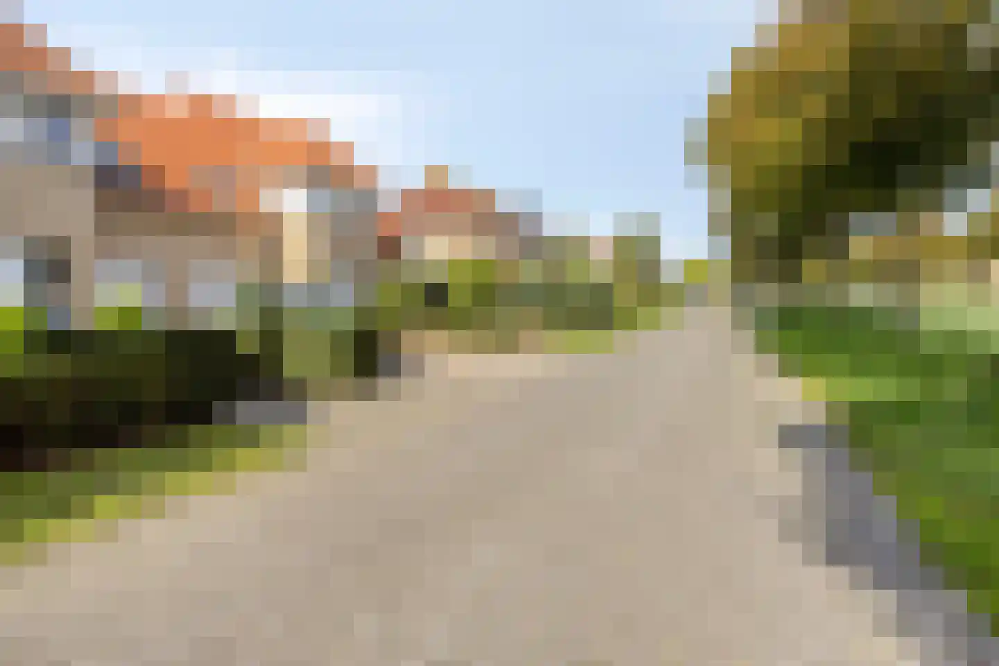 Schorrenkruid 6 Bergen op Zoom thumbnail 50