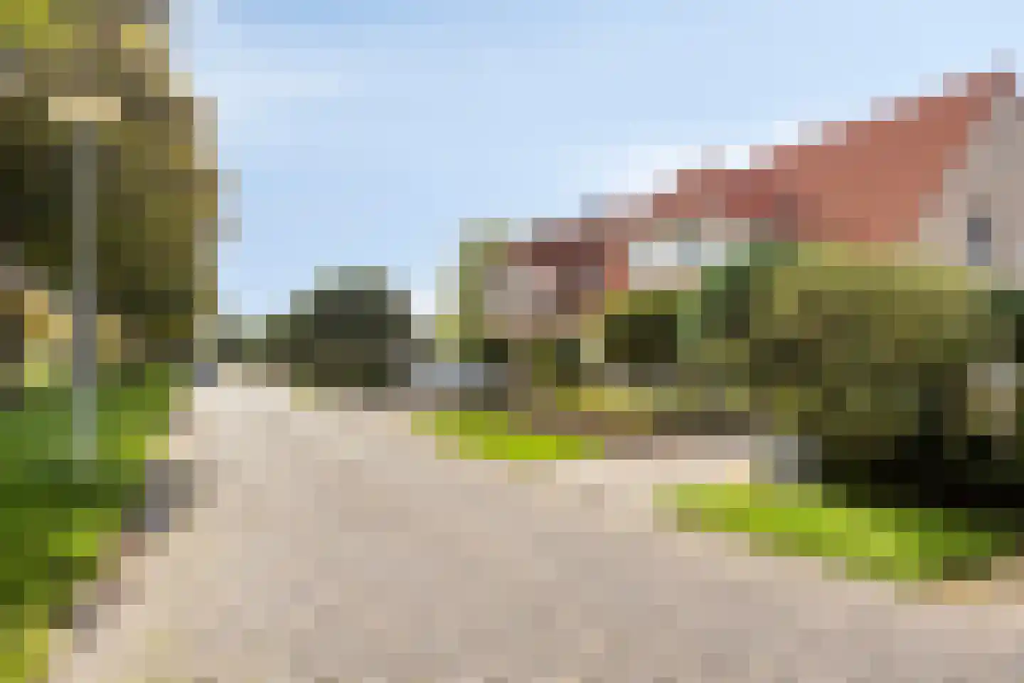 Schorrenkruid 6 Bergen op Zoom thumbnail 51