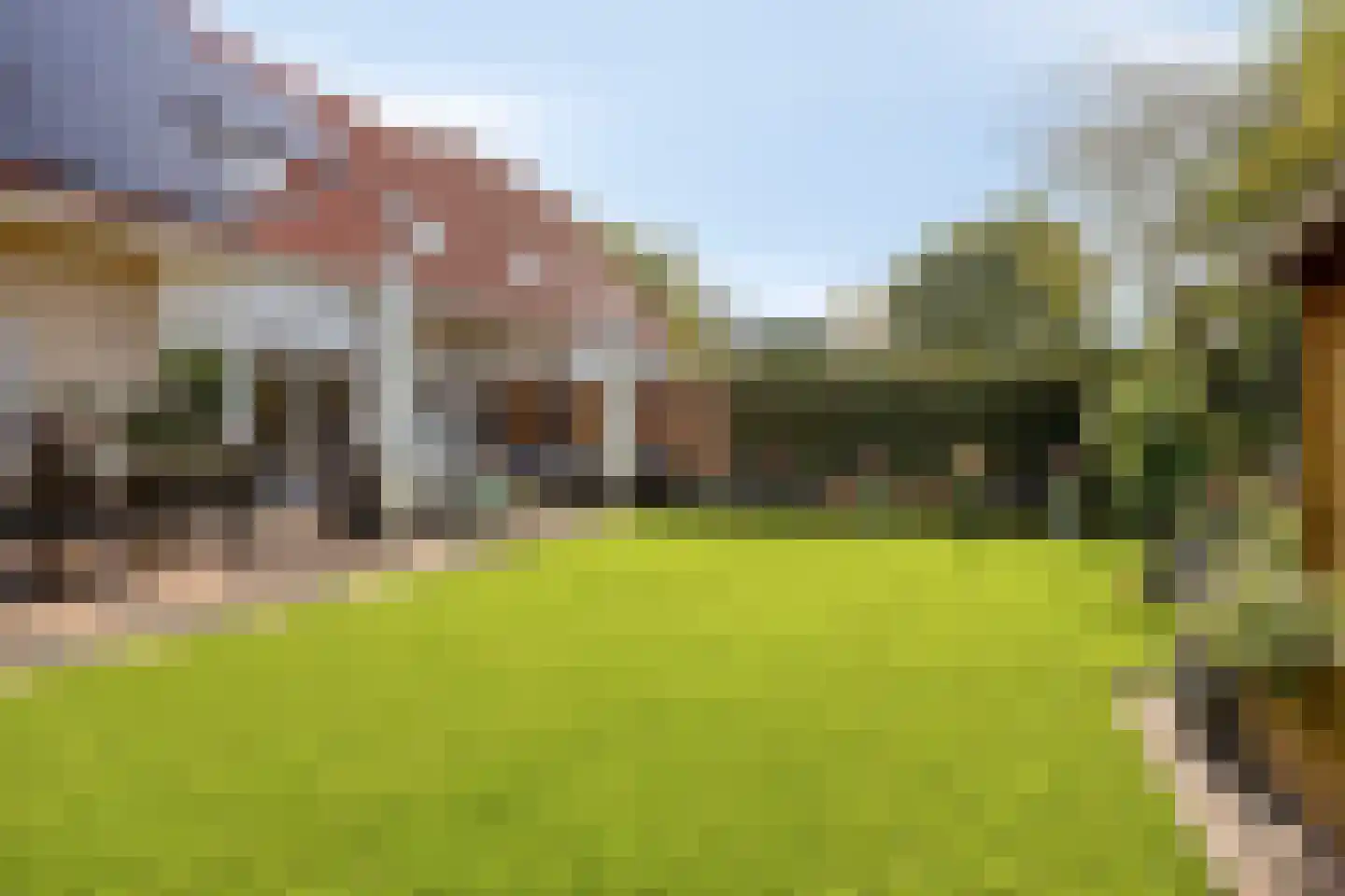 Schorrenkruid 6 Bergen op Zoom thumbnail 6