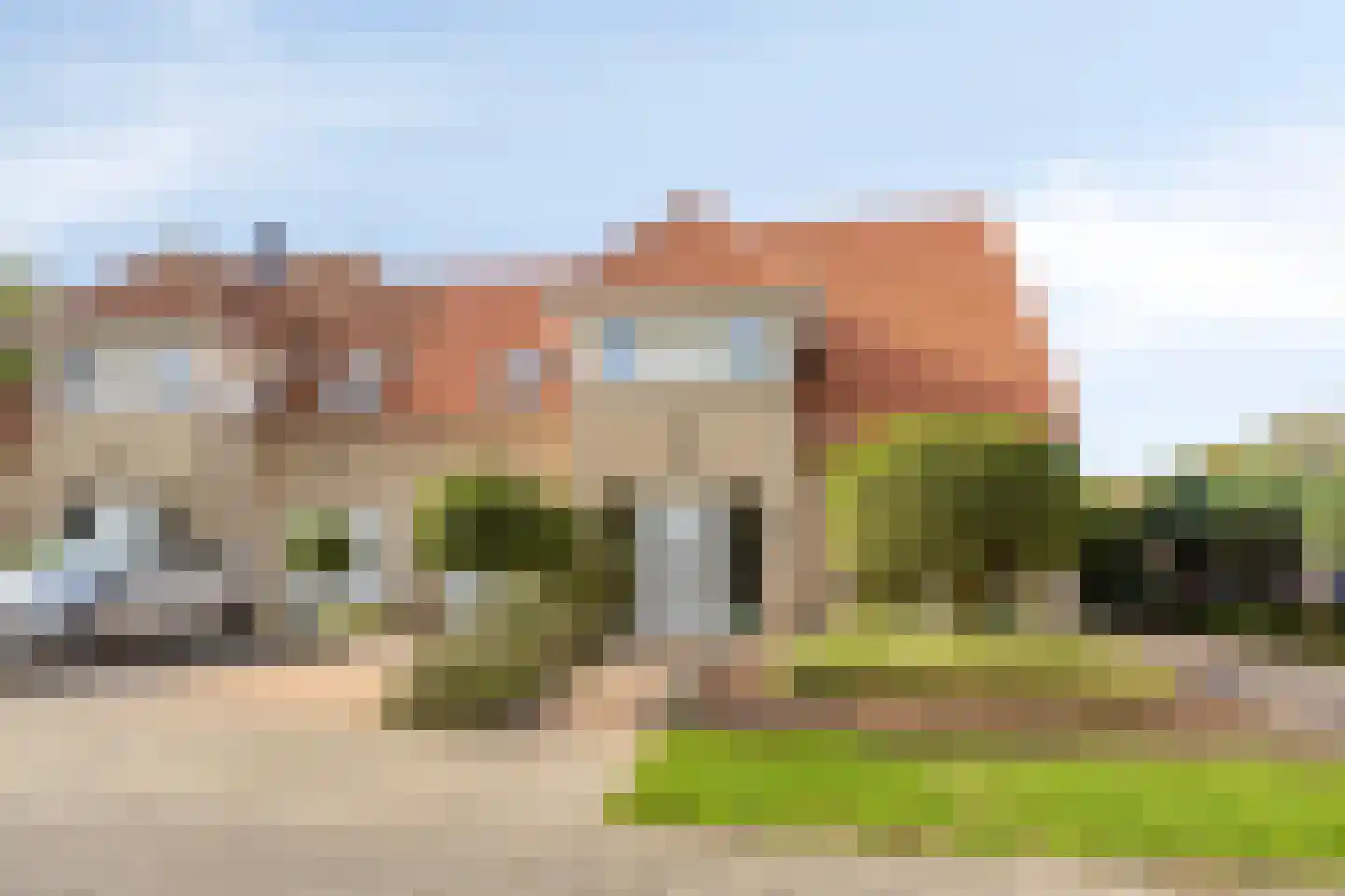 Schorrenkruid 6 Bergen op Zoom thumbnail 7