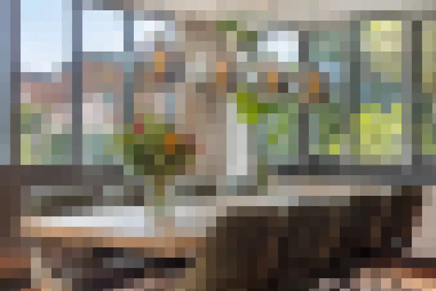 Schorrenkruid 71 Bergen op Zoom thumbnail 10