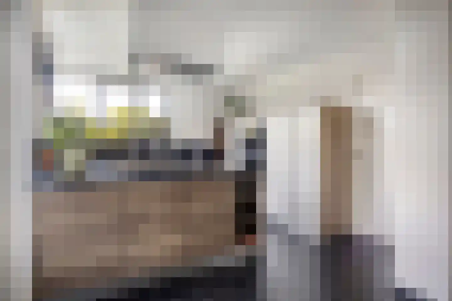 Schorrenkruid 71 Bergen op Zoom thumbnail 14