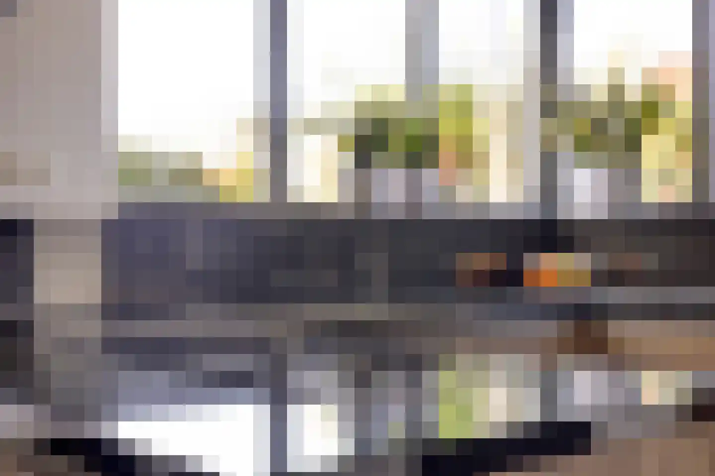 Schorrenkruid 71 Bergen op Zoom thumbnail 16