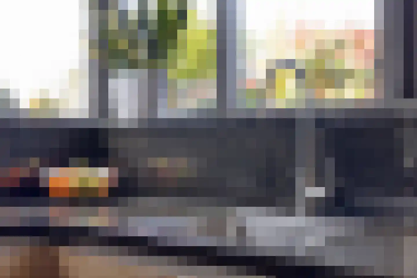 Schorrenkruid 71 Bergen op Zoom thumbnail 17