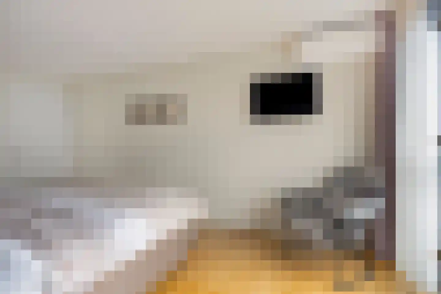 Schorrenkruid 71 Bergen op Zoom thumbnail 37