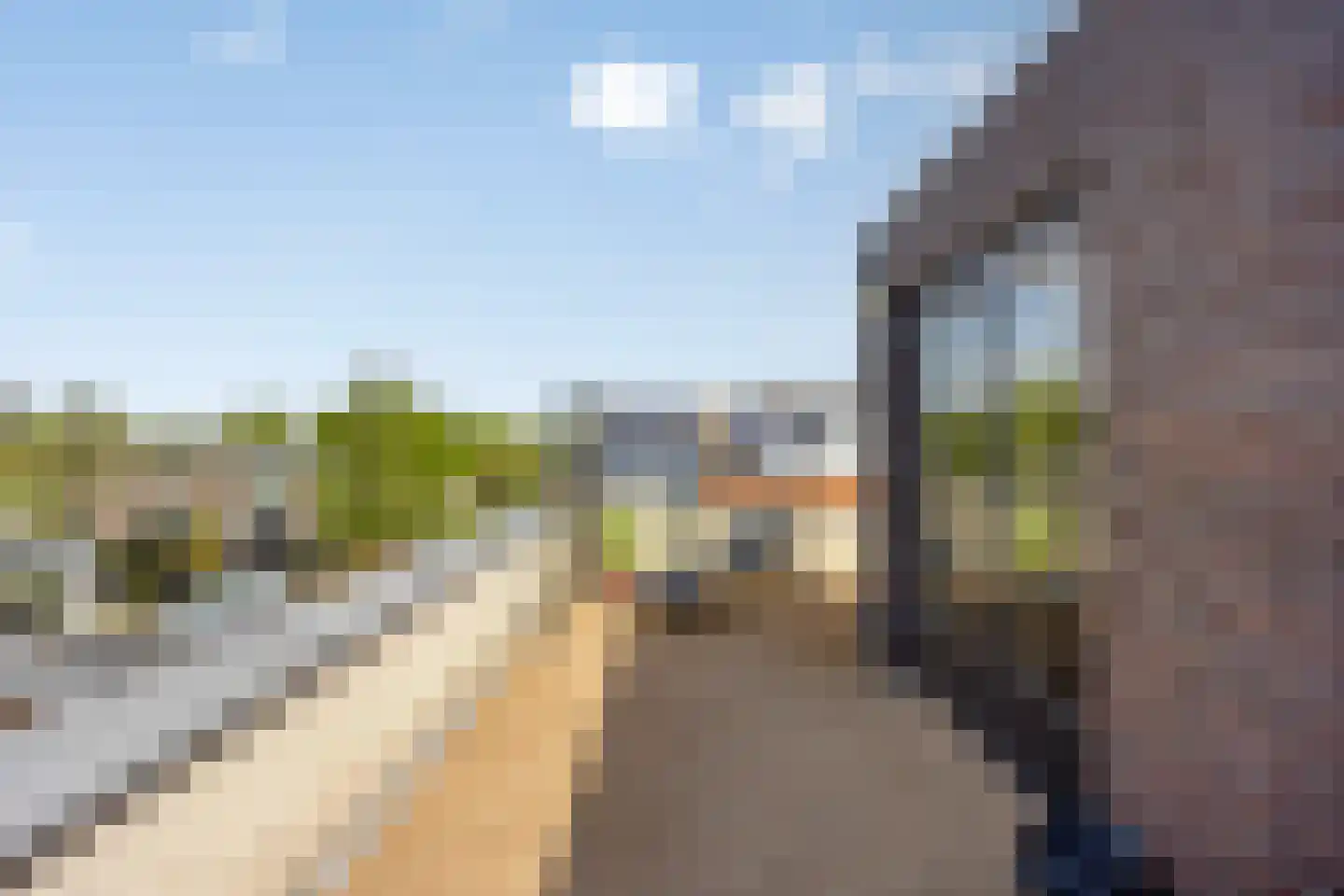 Schorrenkruid 71 Bergen op Zoom thumbnail 58
