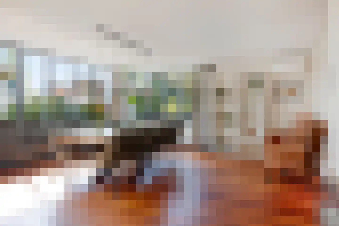Schorrenkruid 71 Bergen op Zoom thumbnail 6