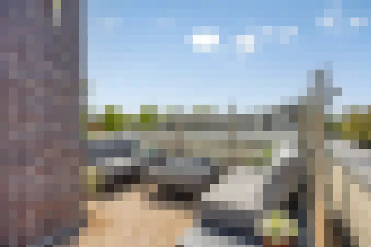 Schorrenkruid 71 Bergen op Zoom thumbnail 60